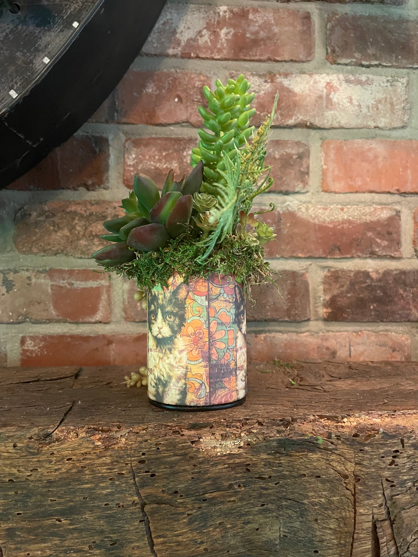 Art Tin Succulent (12)