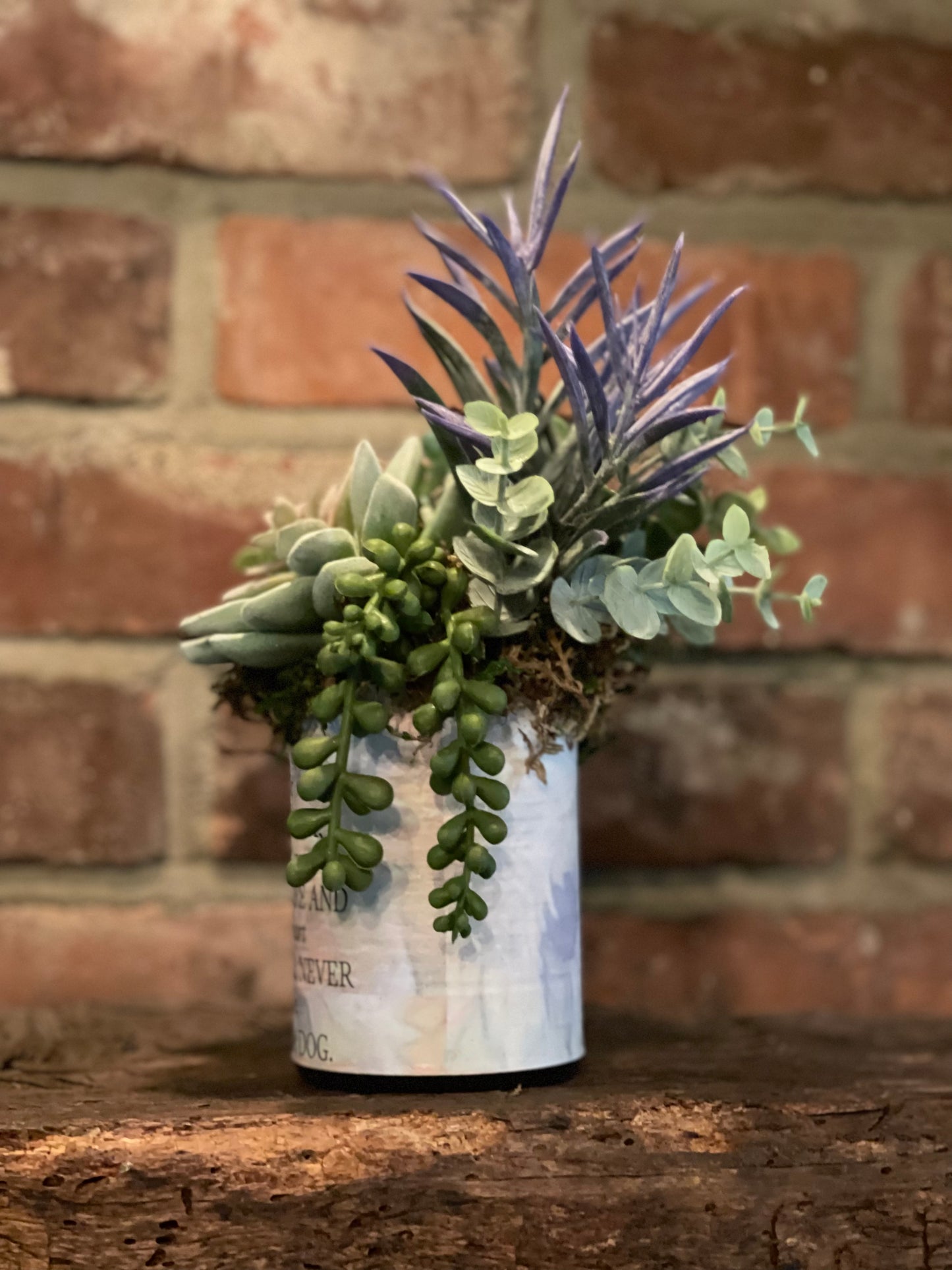 Art Tin Succulent (4)