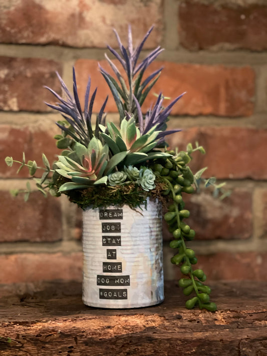 Art Tin Succulent (10)