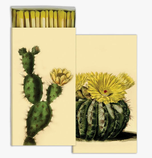 Cactus Box Matches
