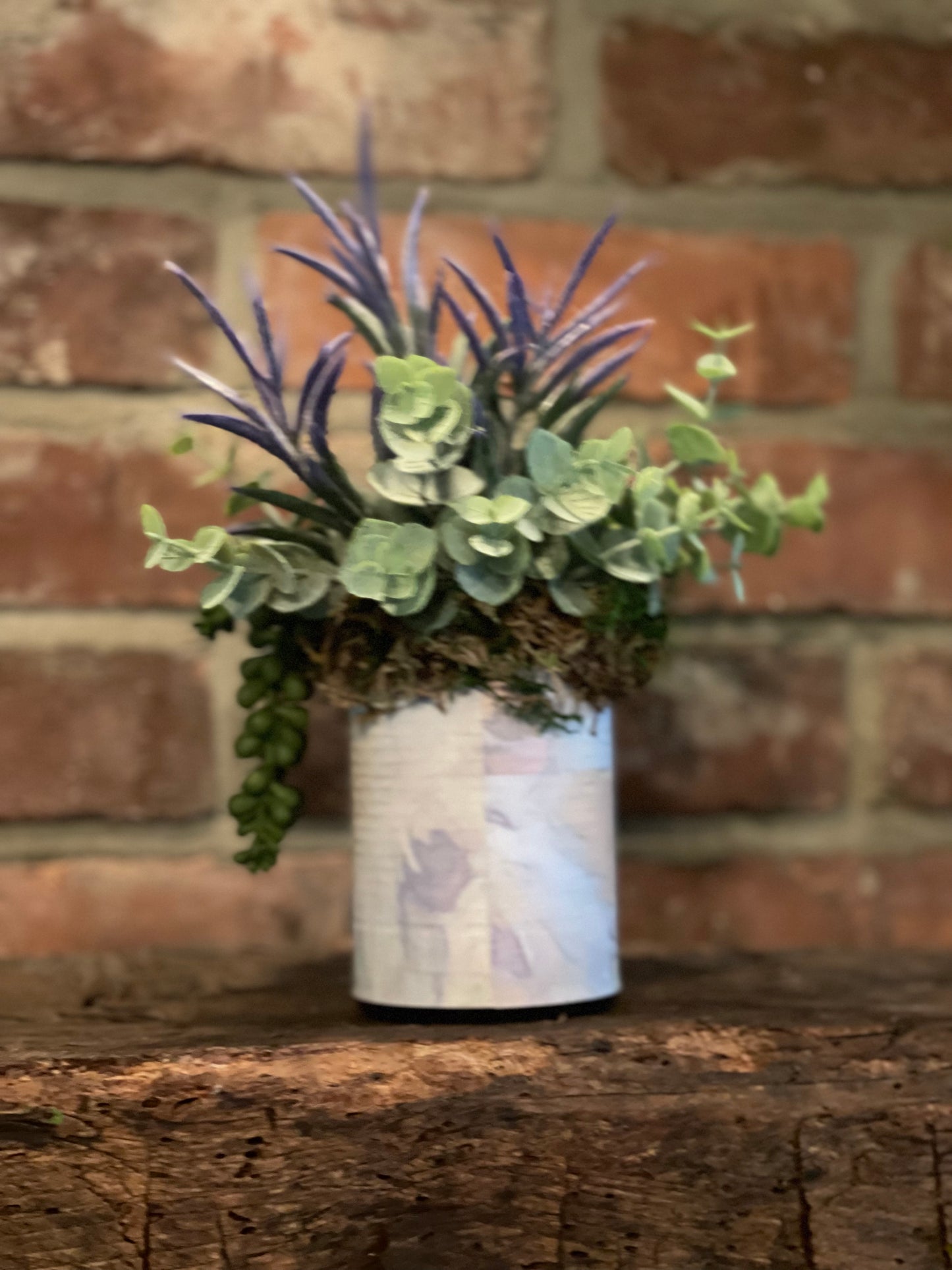 Art Tin Succulent (4)