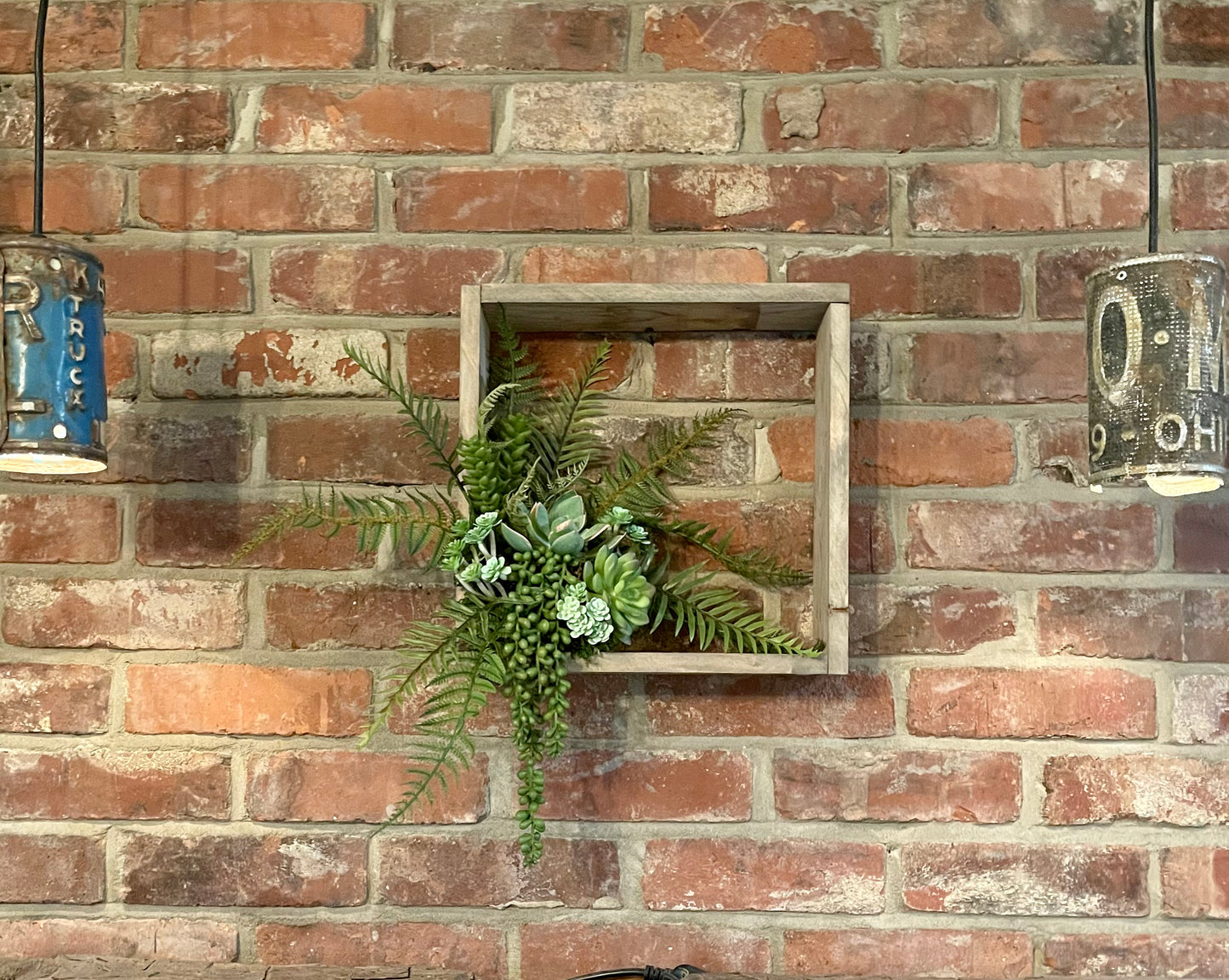 Wild Succulent Wall Box (5)